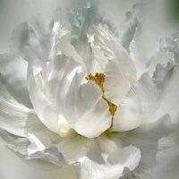 IMG_20230818_120832_241